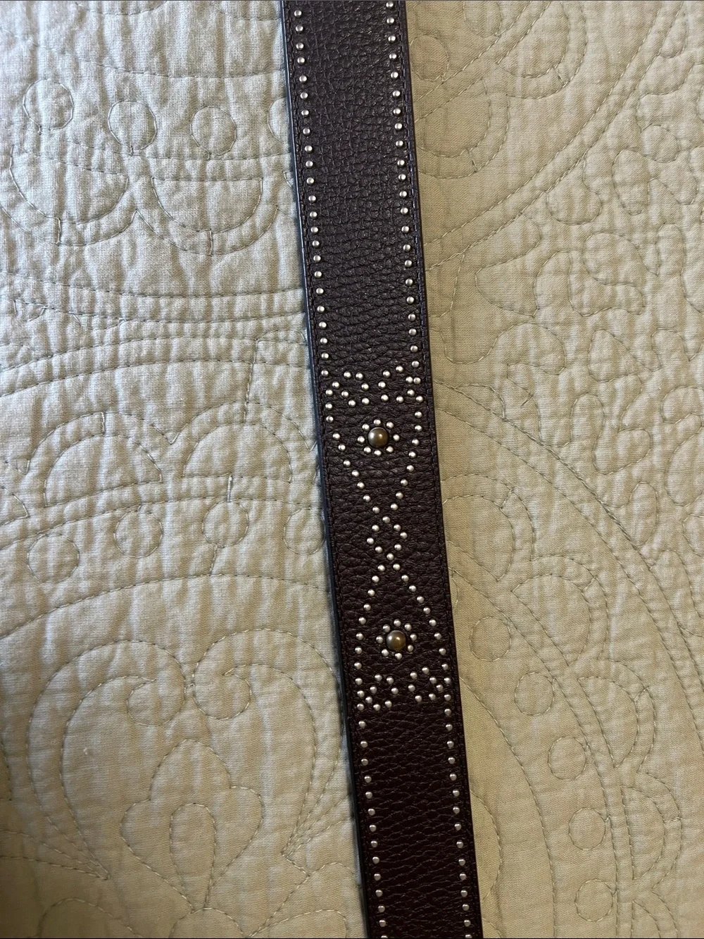 Brighton Dark Brown Leather Belt with Decorative Silver Buckle